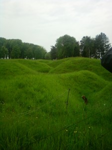 The zig-zagging path of trenches at the Newfoundland memorial
