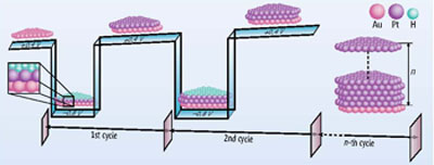 Switzer_Science_120712.jpg