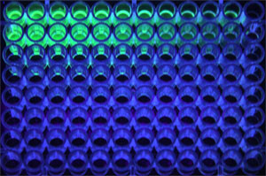 sarcosine_Burton-300px.jpg