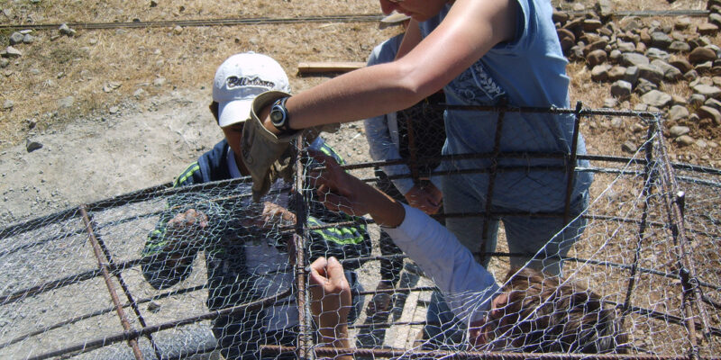 Humanitarian minor encourages service learning