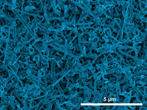 Scanning electron micrograph image of germanium nanowires electrodeposited onto an indium-tin oxide electrode from an aqueous solution.
