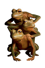 ‘FROGZ!’ to visit Missouri S&T