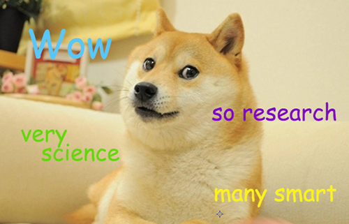 14 Doge