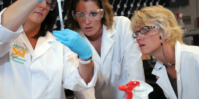 Missouri S&T to offer biomedical engineering minor degree program in fall 2015