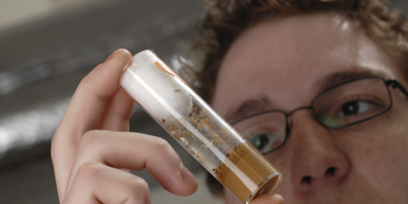University center using flies to unlock Alzheimer’s sleep secrets