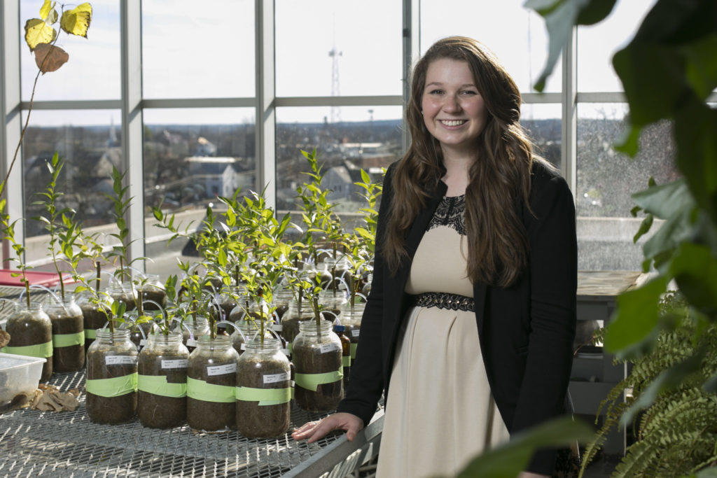 Missouri S&T student Katie Bartels is studying salt marshes this summer in Oregon as part of an EPA fellowship. Sam O'Keefe/Missouri S&T