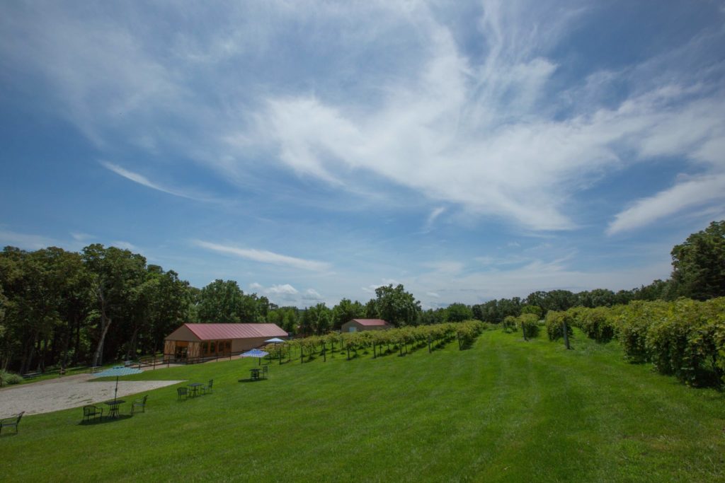 Martin Brothers Winery is located in the picturesque rolling hills of Gasconade County, Missouri.