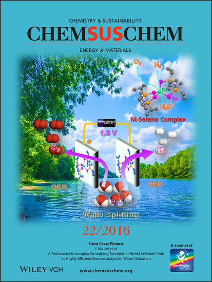 Research by Missouri S&T's Dr. Manashi Nath and colleagues was featured on the cover of the journal ChemSusChem