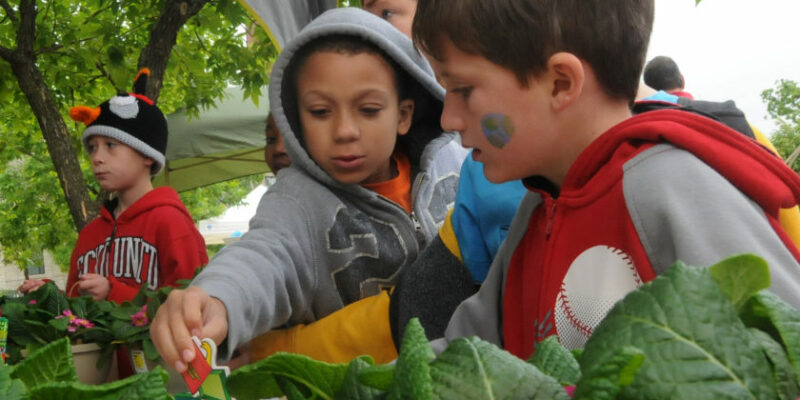 Take part in Missouri S&T’s 18th annual Earth Day celebration