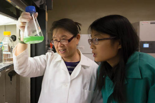 Missouri S&T, PCRMC partner on new research