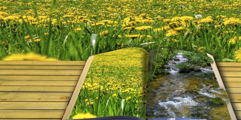 Research offers insight into poetry’s aesthetic appeal