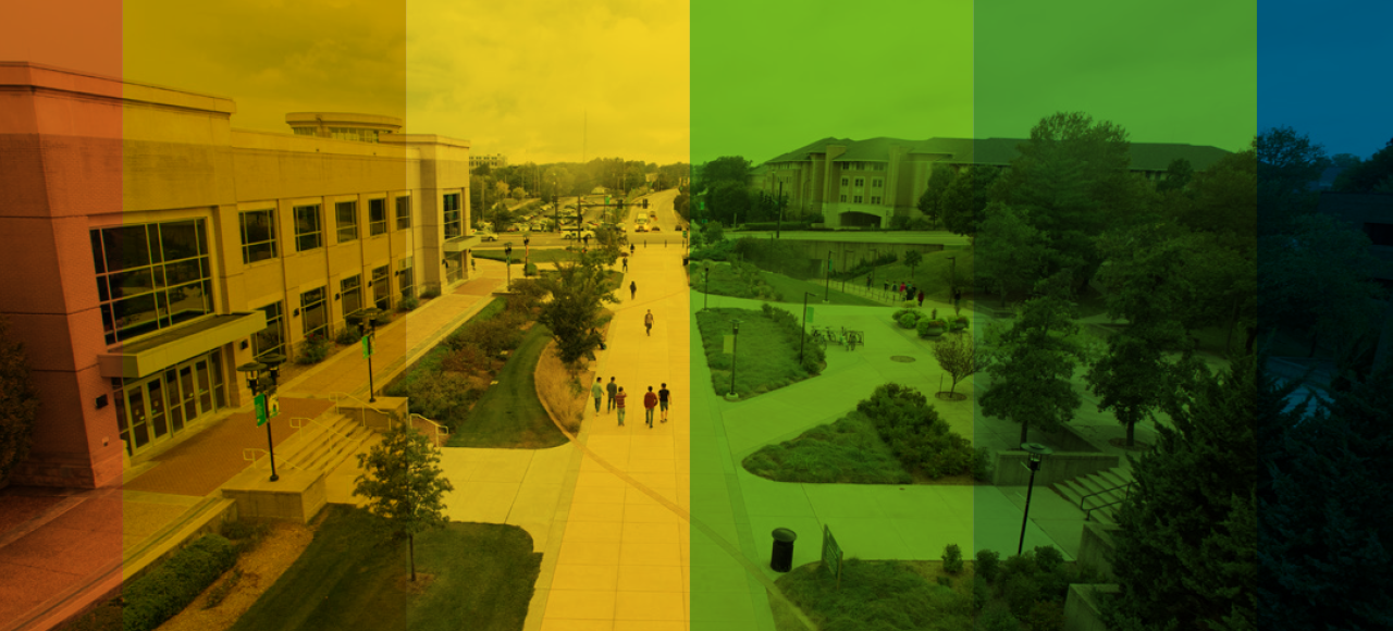 Missouri S&T's LGBTQ community is among the groups who find S&T to be less welcoming than majority students, according to a 2016 campus climate survey.