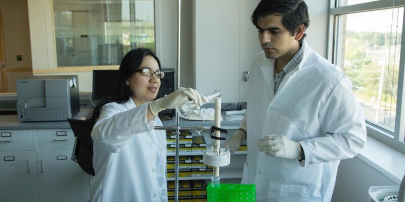 Missouri S&T biochemical engineer patents low-cost method of removing bacterial toxins from fluids