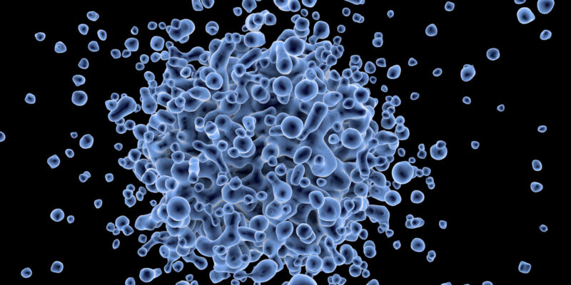 Ozark Biomedical Initiative Research Symposium to be held Aug. 18