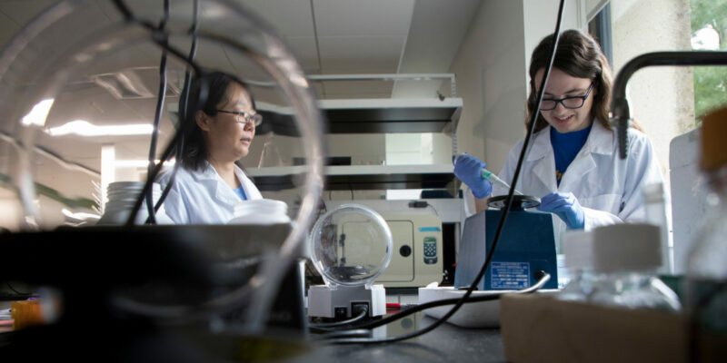 Chemistry undergraduate completes summer fellowship with gratitude and a published, peer-reviewed paper