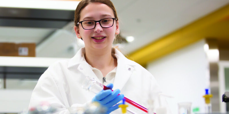 Success in arts, sciences and business