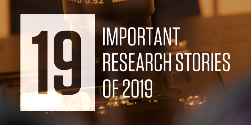 19 important research stories of 2019