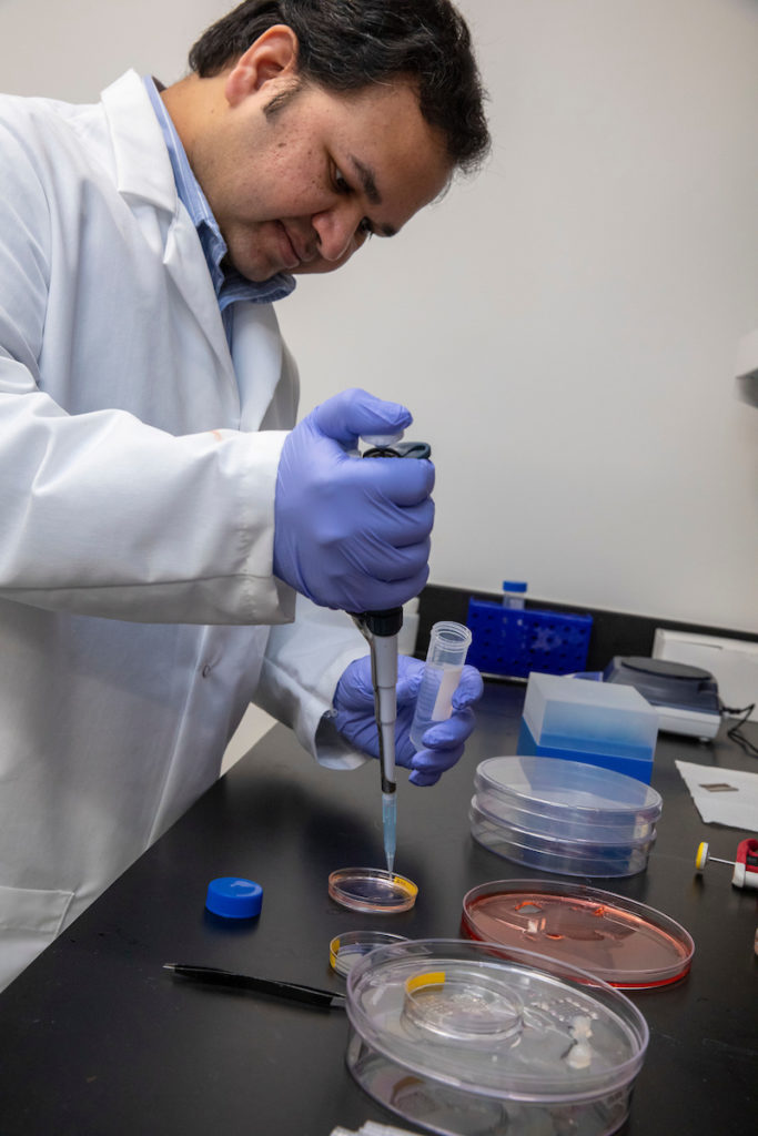 Dr. Krishna Kolan working with cell samples in his lab at Missouri S&T.