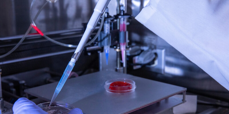 Missouri S&T researchers create organ tissue with bioactive glass, stem cells and 3-D printer