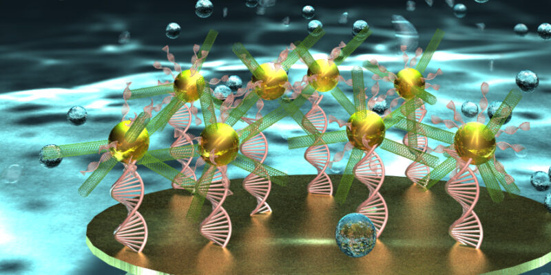 Researchers create unique DNA biosensor for early stage disease detection