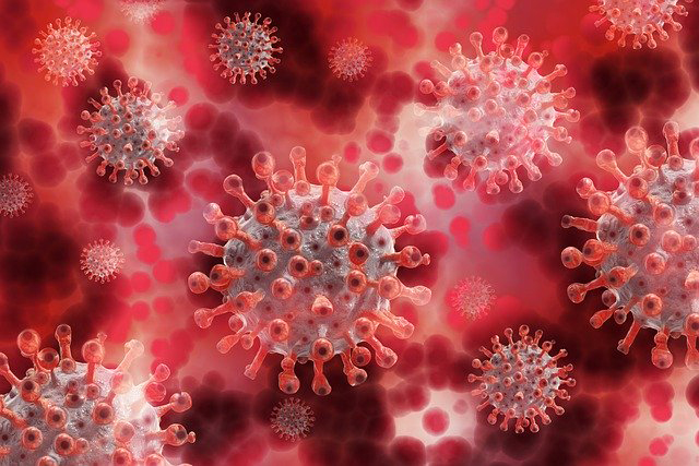 Coronavirus Image by Gerd Altmann from Pixabay