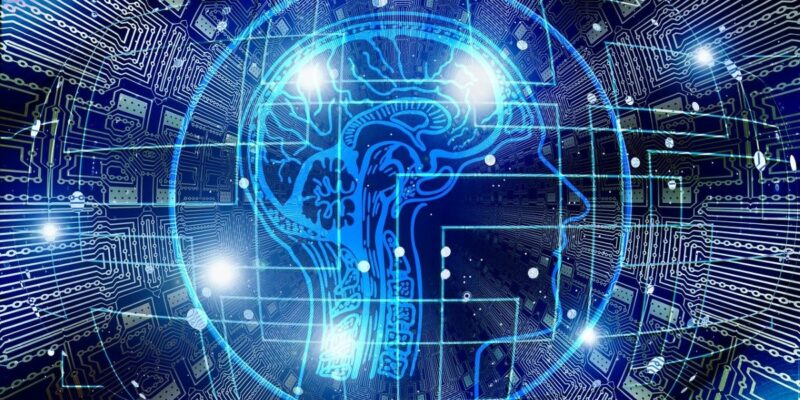 Researchers use artificial intelligence to improve efficiency in kidney transplant network