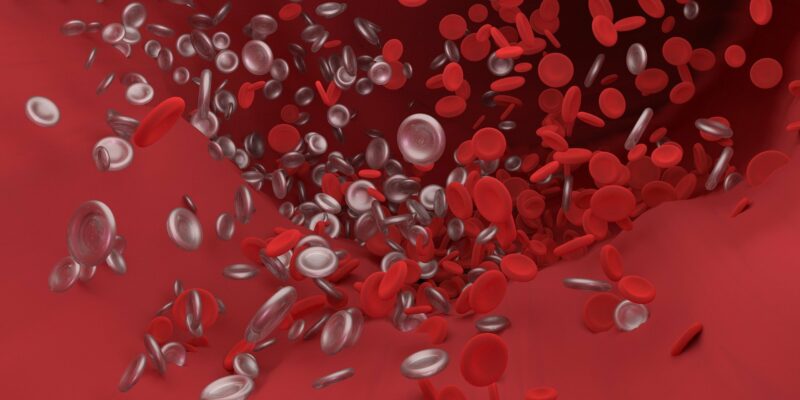New cellular treatment could cure chronic artery disease