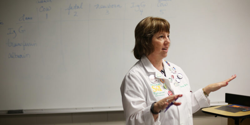 Terry Wilson named S&T Women’s Advocate of the Year