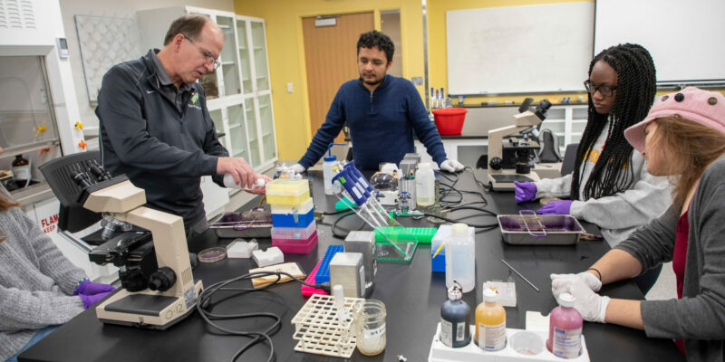 S&T adds medical lab science certification as a biological sciences emphasis area