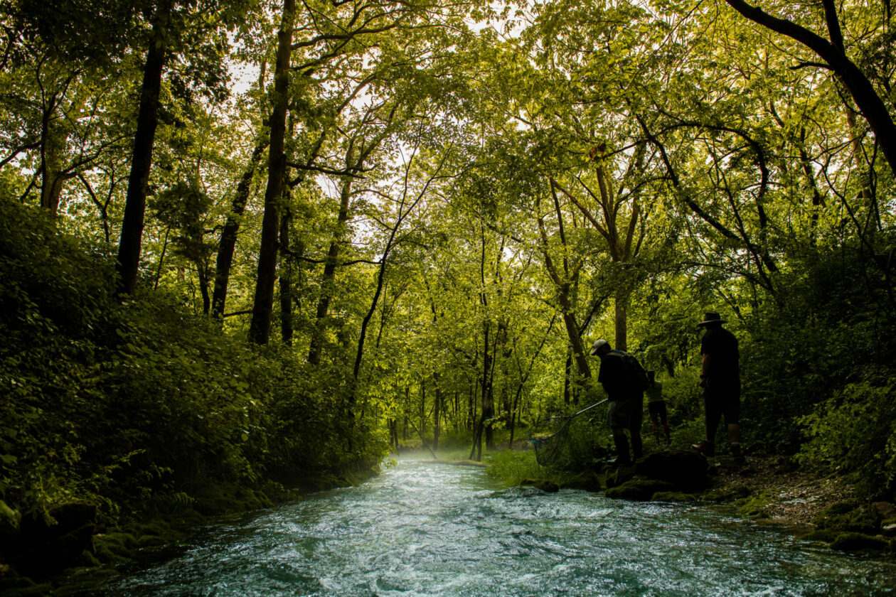 Ozarks