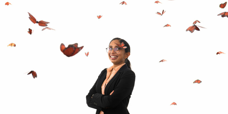 S&T toxicologist aims to save butterflies