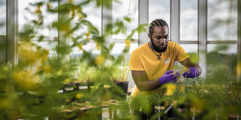 Missouri S&T offers summer research for students from HBCUs
