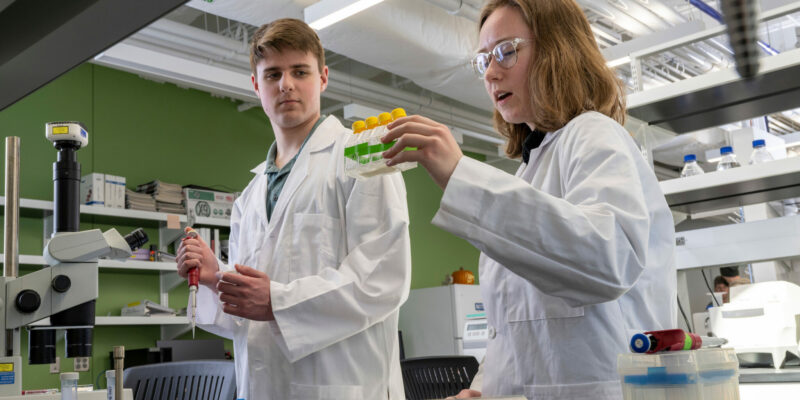 Researching worms to understand age-related diseases