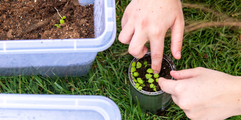 Celebrate Earth Day at Missouri S&T