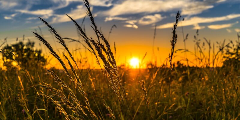 S&T researchers aim to educate Missouri farmers on drone technology
