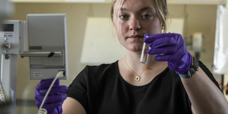 Ply honored with award from American Chemical Society