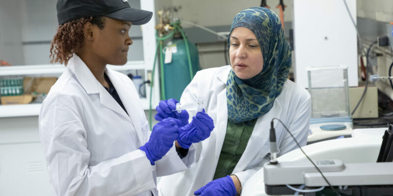 Hidden treasures: S&T researcher aims to recover critical minerals, precious metals from unconventional sources