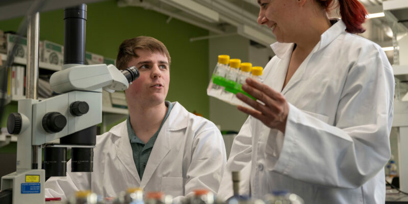 Curators approve Ph.D. programs in bioengineering and biological sciences at S&T 