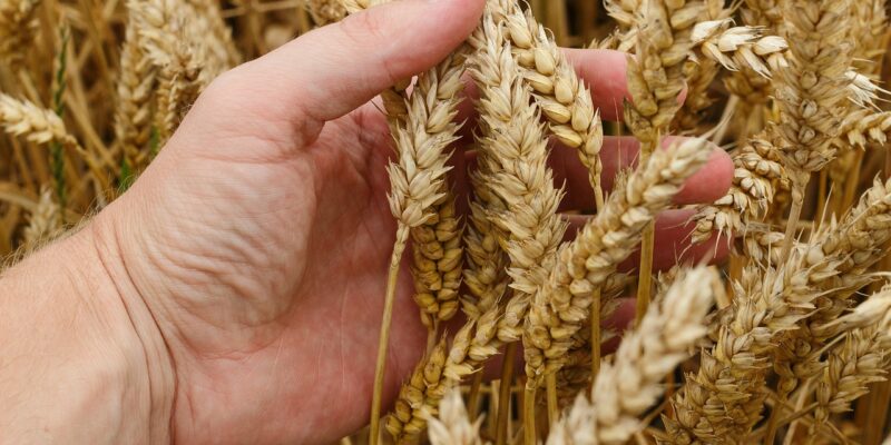 Missouri S&T awarded $1.25 million for agricultural workforce development