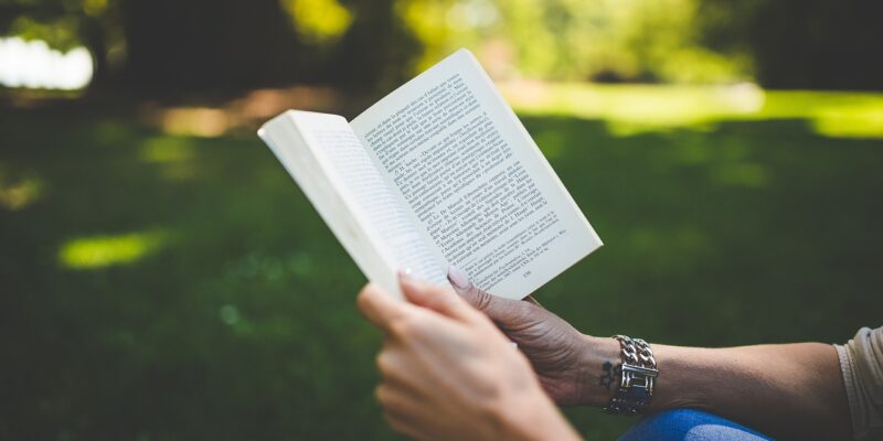 Dive into summer reading: Discover the latest works from faculty and staff