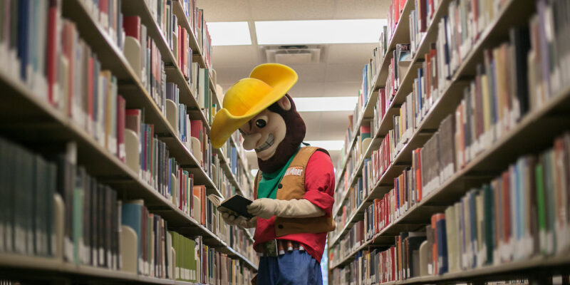 Missouri S&T’s library offers free library cards, notary services and more