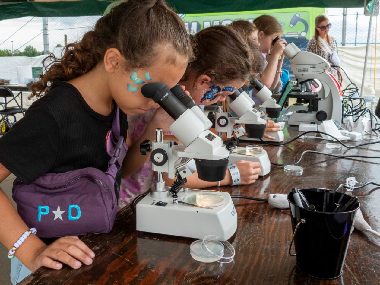 Children looking through microscopes