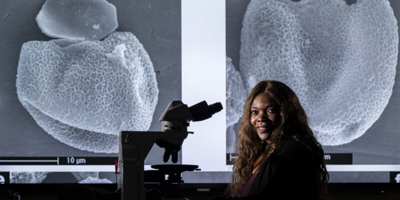 Introducing ‘Batiacasphaera obohikuenobeae’: A species named to honor S&T professor 