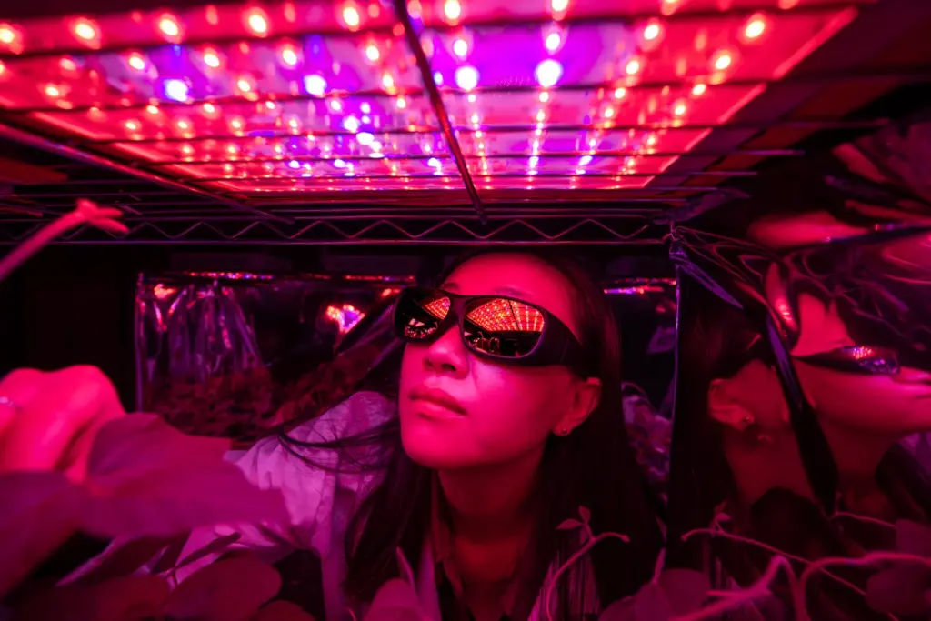 Researcher in grow chamber