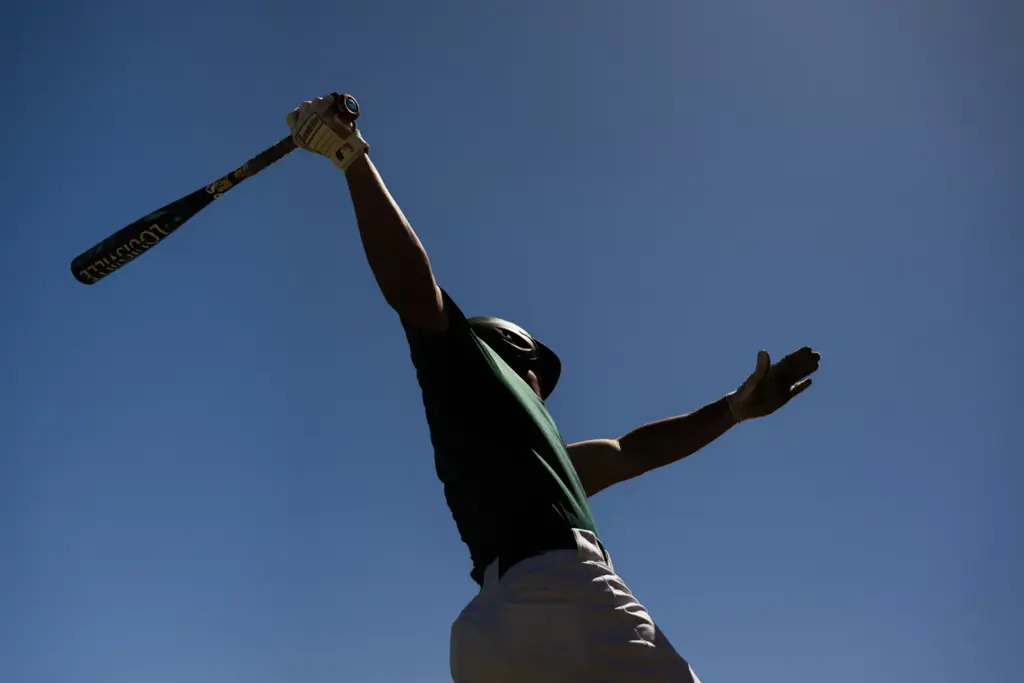 Batter swings