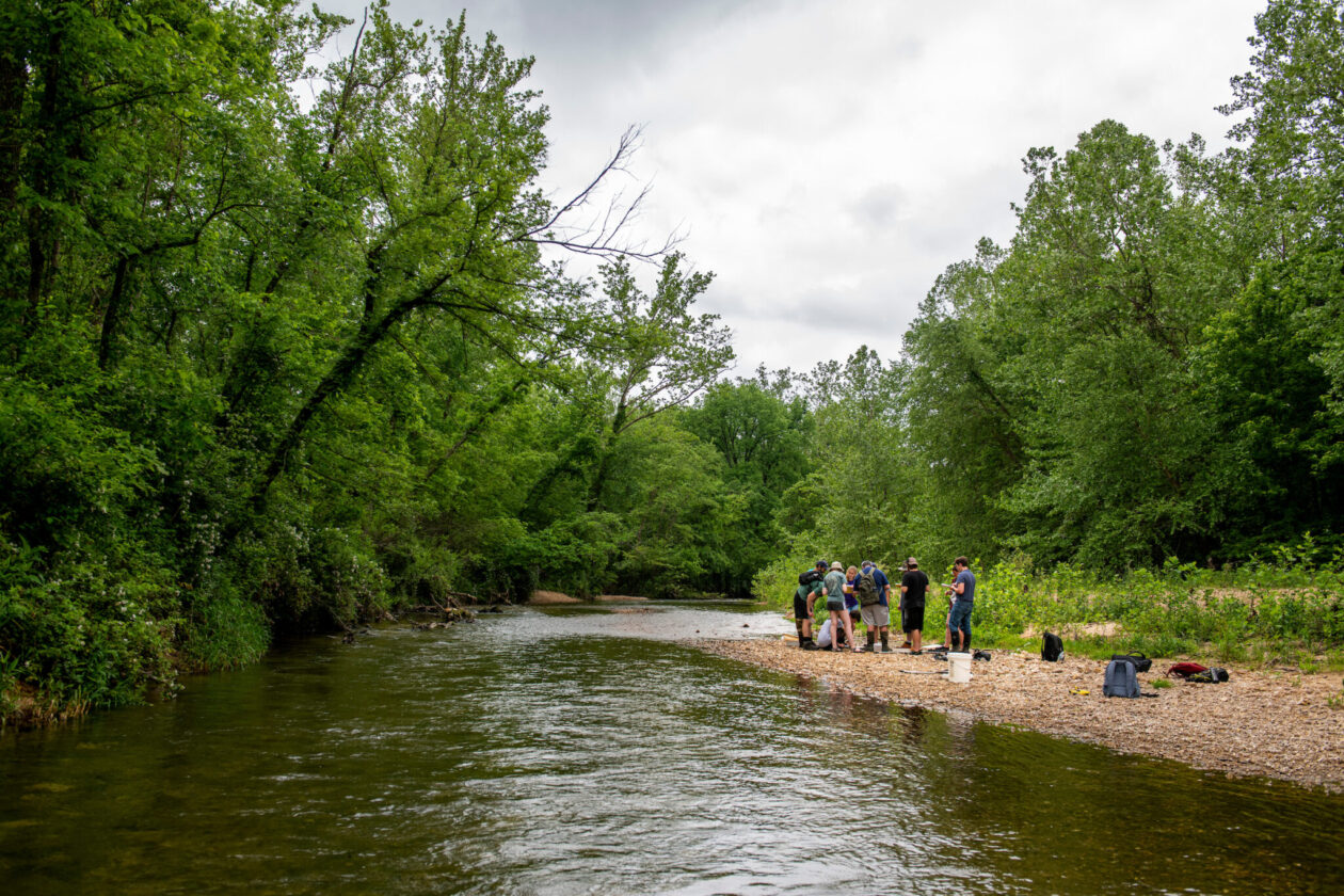 Biology students at the Ozark Research Field Station.